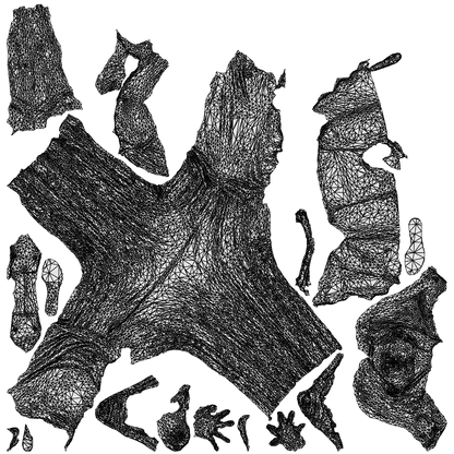 3D scanned woman standing casual, photorealistic archviz people for Enscape and SketchUp, wireframe top-down view