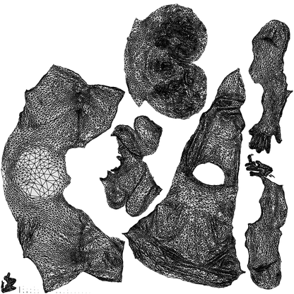 realistic 3D woman sitting, scanned archviz people for Blender and 3ds Max, wireframe top-down view