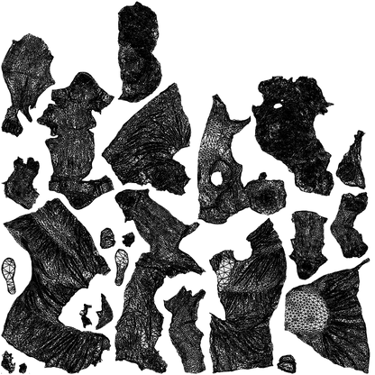 photogrammetry 3D boy casual kids, realistic human model archviz FBX, wireframe top-down view