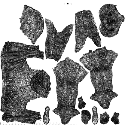photogrammetry 3D man casual cycling, realistic human model archviz FBX, wireframe top-down view