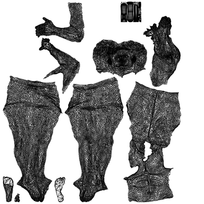photogrammetry 3D man mix, realistic human model archviz FBX, wireframe top-down view