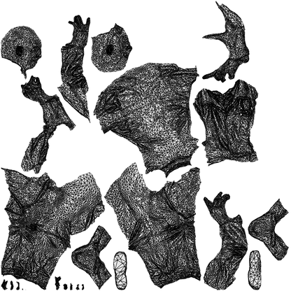 3D people model senior man medical, scanned human for 3ds Max rendering, wireframe top-down view