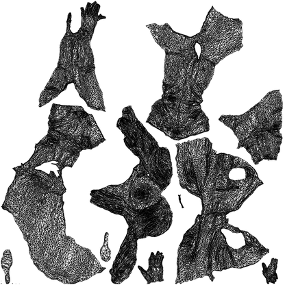 3D people model woman casual sitting, scanned human for 3ds Max rendering, wireframe top-down view