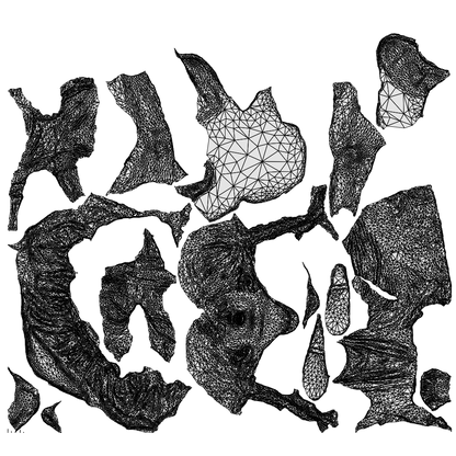 3D people model girl casual kids, scanned human for 3ds Max rendering, wireframe top-down view