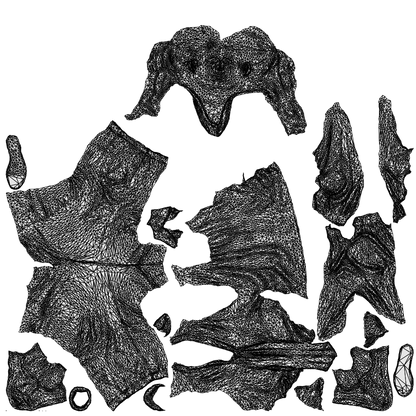 photogrammetry 3D woman casual walking, realistic human model archviz FBX, wireframe top-down view