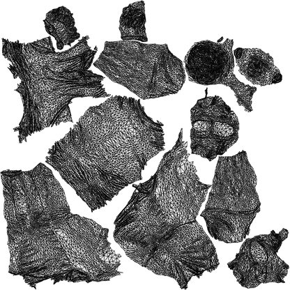scanned 3D man casual cycling, photogrammetry people for Enscape and V-Ray, wireframe top-down view