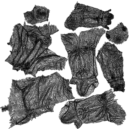 3D people model man business driving, scanned human for 3ds Max rendering, wireframe top-down view