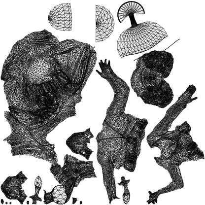 realistic 3D woman formal formalaffairs, scanned archviz people for Blender and 3ds Max, wireframe top-down view