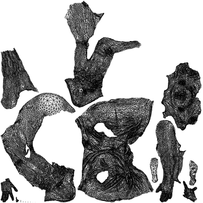 realistic 3D people woman casual sitting, render-ready for V-Ray and Corona, FBX OBJ, wireframe top-down view