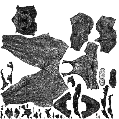 scanned 3D woman sport, photogrammetry people for Enscape and V-Ray, wireframe top-down view
