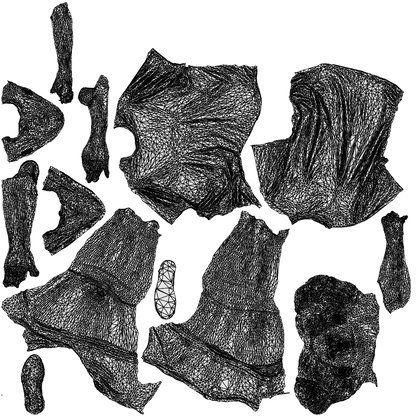 realistic 3D woman sport, scanned archviz people for Blender and 3ds Max, wireframe top-down view