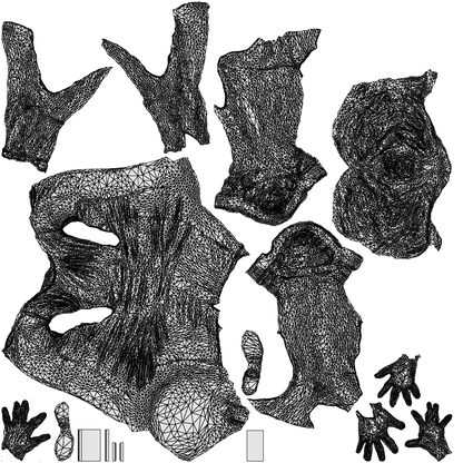 realistic 3D people woman business sitting, render-ready for V-Ray and Corona, FBX OBJ, wireframe top-down view