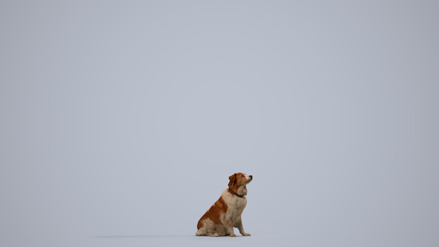 3D human model person misc, photogrammetry scanned person for archviz, side view render