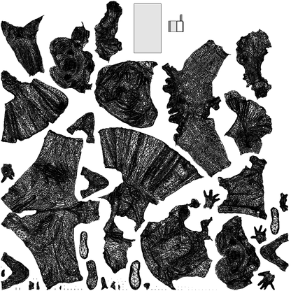 scanned 3D girl kids, photogrammetry people for Enscape and V-Ray, wireframe top-down view