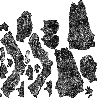 realistic 3D man casual walking, scanned archviz people for Blender and 3ds Max, wireframe top-down view