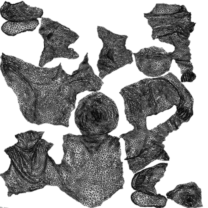 3D human model boy casual kids, photogrammetry scanned person for archviz, wireframe top-down view