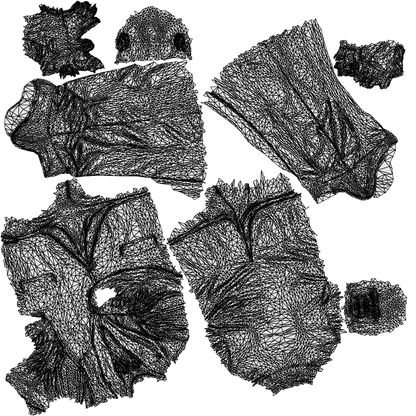 scanned 3D man business mix, photogrammetry people for Enscape and V-Ray, wireframe top-down view
