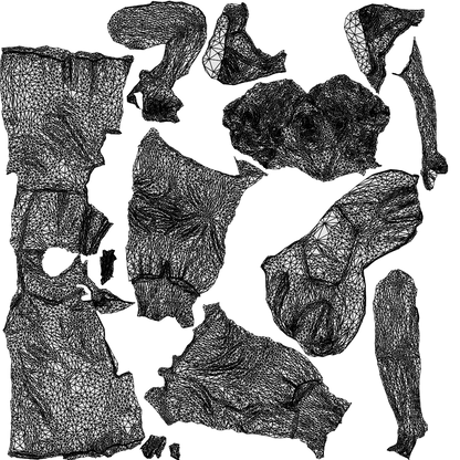 3D scanned senior woman standing casual, photorealistic archviz people for Enscape and SketchUp, wireframe top-down view