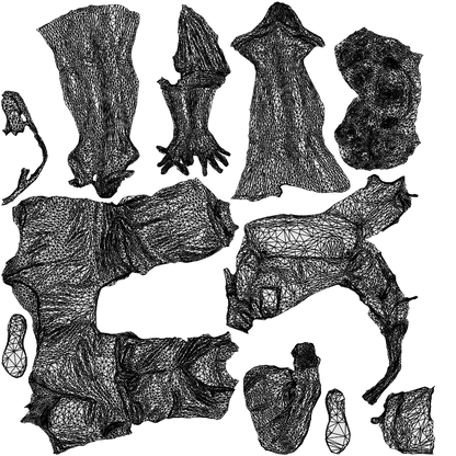 3D human model woman casual walking, photogrammetry scanned person for archviz, wireframe top-down view