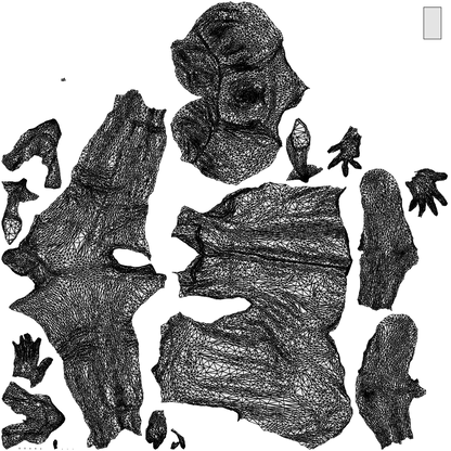 scanned 3D woman casual walking, photogrammetry people for Enscape and V-Ray, wireframe top-down view