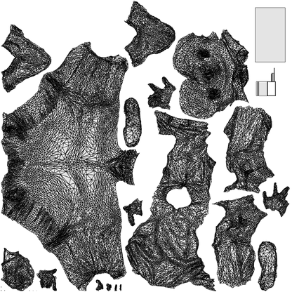 3D people model girl business kids, scanned human for 3ds Max rendering, wireframe top-down view