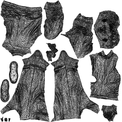 3D people model man casual walking, scanned human for 3ds Max rendering, wireframe top-down view