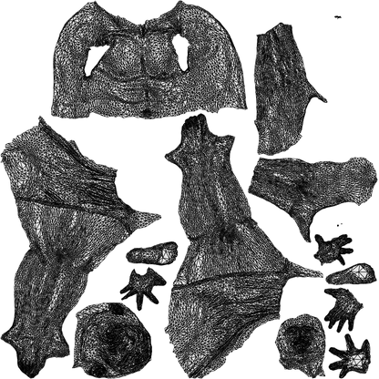 scanned 3D man pool, photogrammetry people for Enscape and V-Ray, wireframe top-down view