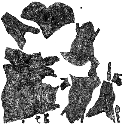 photogrammetry 3D woman casual cycling, realistic human model archviz FBX, wireframe top-down view