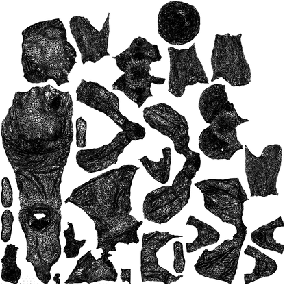 photogrammetry 3D girl kids, realistic human model archviz FBX, wireframe top-down view