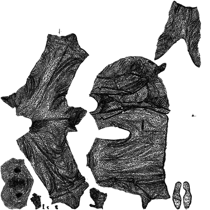 3D people model man business, scanned human for 3ds Max rendering, wireframe top-down view