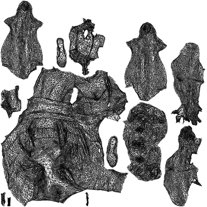 3D people model woman formal formalaffairs, scanned human for 3ds Max rendering, wireframe top-down view