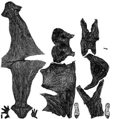 3D scanned woman standing sport, photorealistic archviz people for Enscape and SketchUp, wireframe top-down view