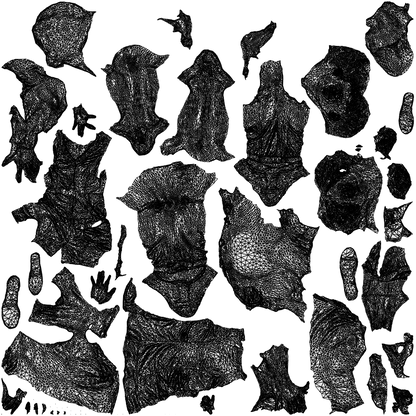3D people model woman casual couple, scanned human for 3ds Max rendering, wireframe top-down view