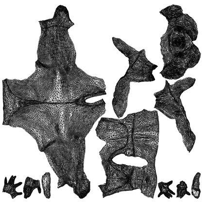 scanned 3D woman pool, photogrammetry people for Enscape and V-Ray, wireframe top-down view