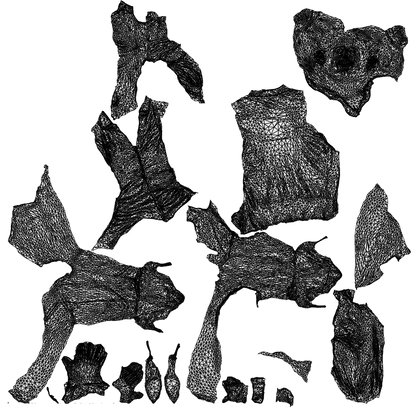 scanned 3D woman business sitting, photogrammetry people for Enscape and V-Ray, wireframe top-down view