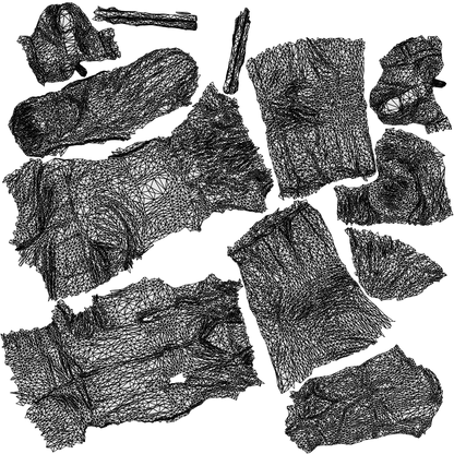 3D people model woman casual standing, scanned human for 3ds Max rendering, wireframe top-down view
