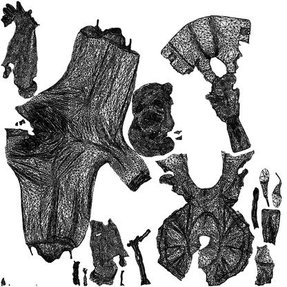 3D scanned woman standing business, photorealistic archviz people for Enscape and SketchUp, wireframe top-down view