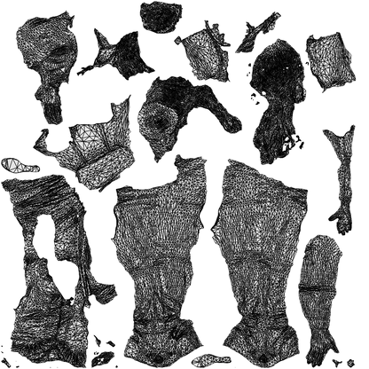 3D people model woman casual walking, scanned human for 3ds Max rendering, wireframe top-down view