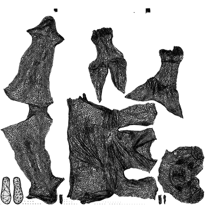 scanned 3D woman casual cycling, photogrammetry people for Enscape and V-Ray, wireframe top-down view