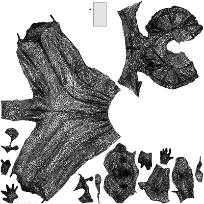 photogrammetry 3D woman business walking, realistic human model archviz FBX, wireframe top-down view
