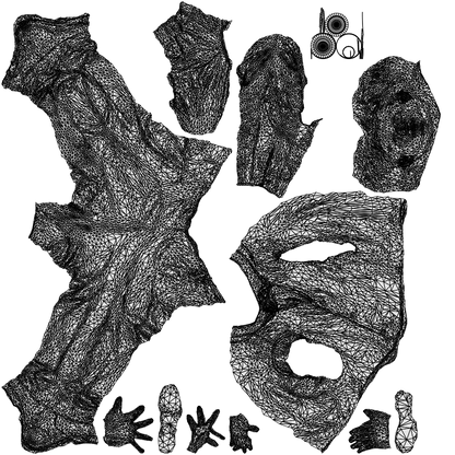 3D people model man hospitality, scanned human for 3ds Max rendering, wireframe top-down view