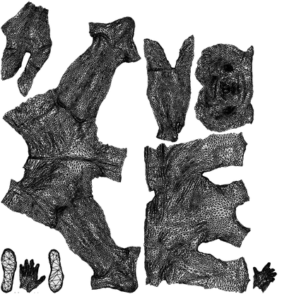 realistic 3D man casual standing, scanned archviz people for Blender and 3ds Max, wireframe top-down view