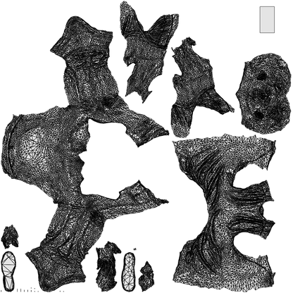 photogrammetry 3D man casual sitting, realistic human model archviz FBX, wireframe top-down view