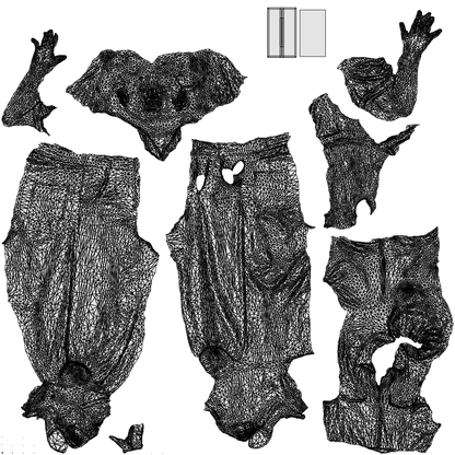 scanned 3D woman formal walking, photogrammetry people for Enscape and V-Ray, wireframe top-down view