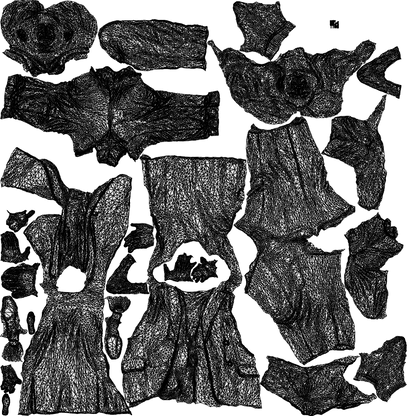 photogrammetry 3D woman business, realistic human model archviz FBX, wireframe top-down view