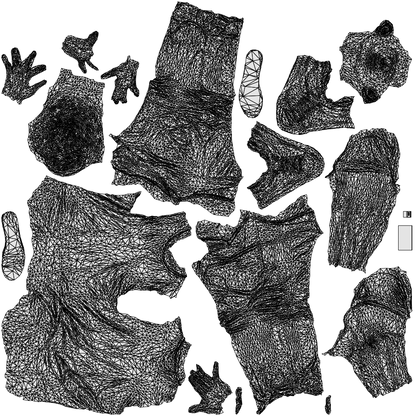 scanned 3D man casual walking, photogrammetry people for Enscape and V-Ray, wireframe top-down view
