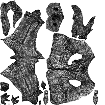 scanned 3D senior man business, photogrammetry people for Enscape and V-Ray, wireframe top-down view