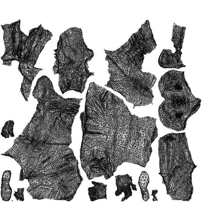 scanned 3D man business standing, photogrammetry people for Enscape and V-Ray, wireframe top-down view