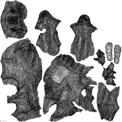 3D people model man casual sitting, scanned human for 3ds Max rendering, wireframe top-down view