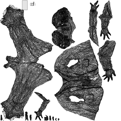 scanned 3D woman business, photogrammetry people for Enscape and V-Ray, wireframe top-down view